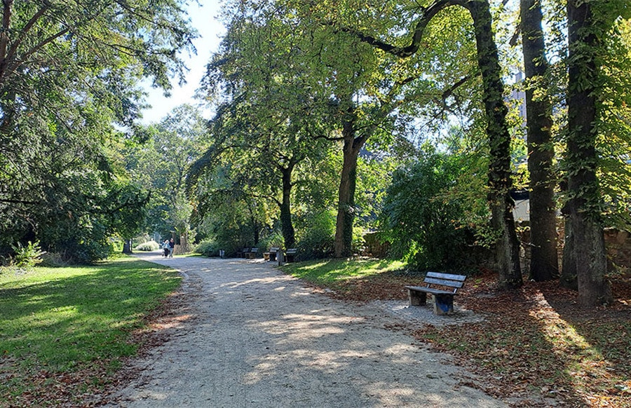 Gruene Lunge Trier – Bild 1