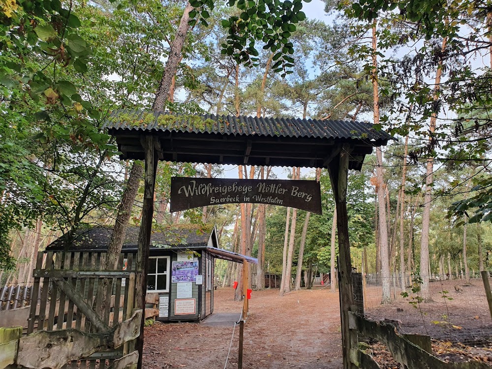 Wildfreigehege Nöttler Berg – Bild 2