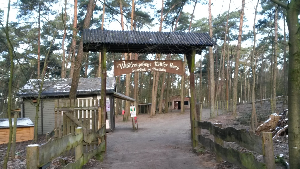 Wildfreigehege Nöttler Berg – Bild 4