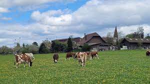 Kleiner Kulturgarten Spiegel – Bild 4
