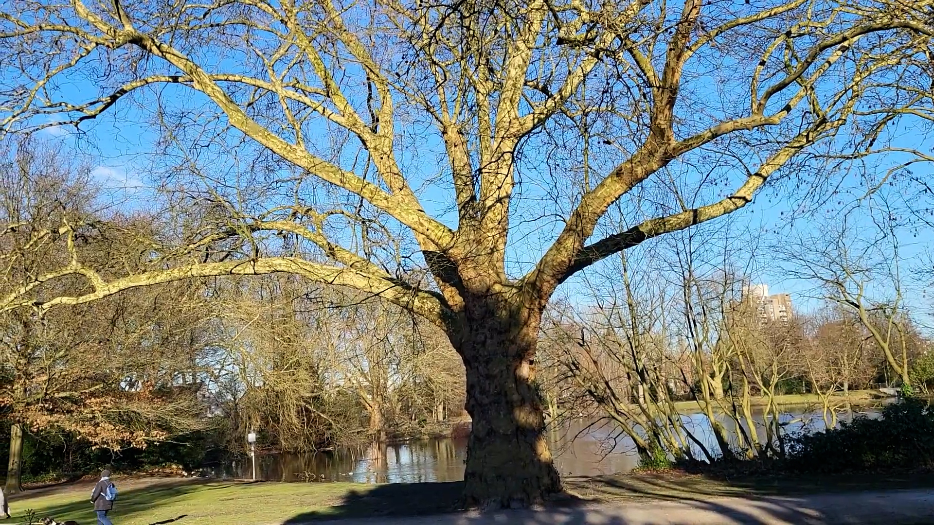 Bulmker Park – Bild 4