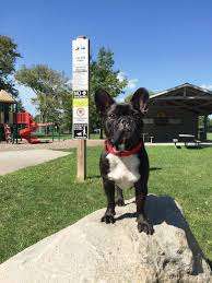 Cowan Park – Bild 4