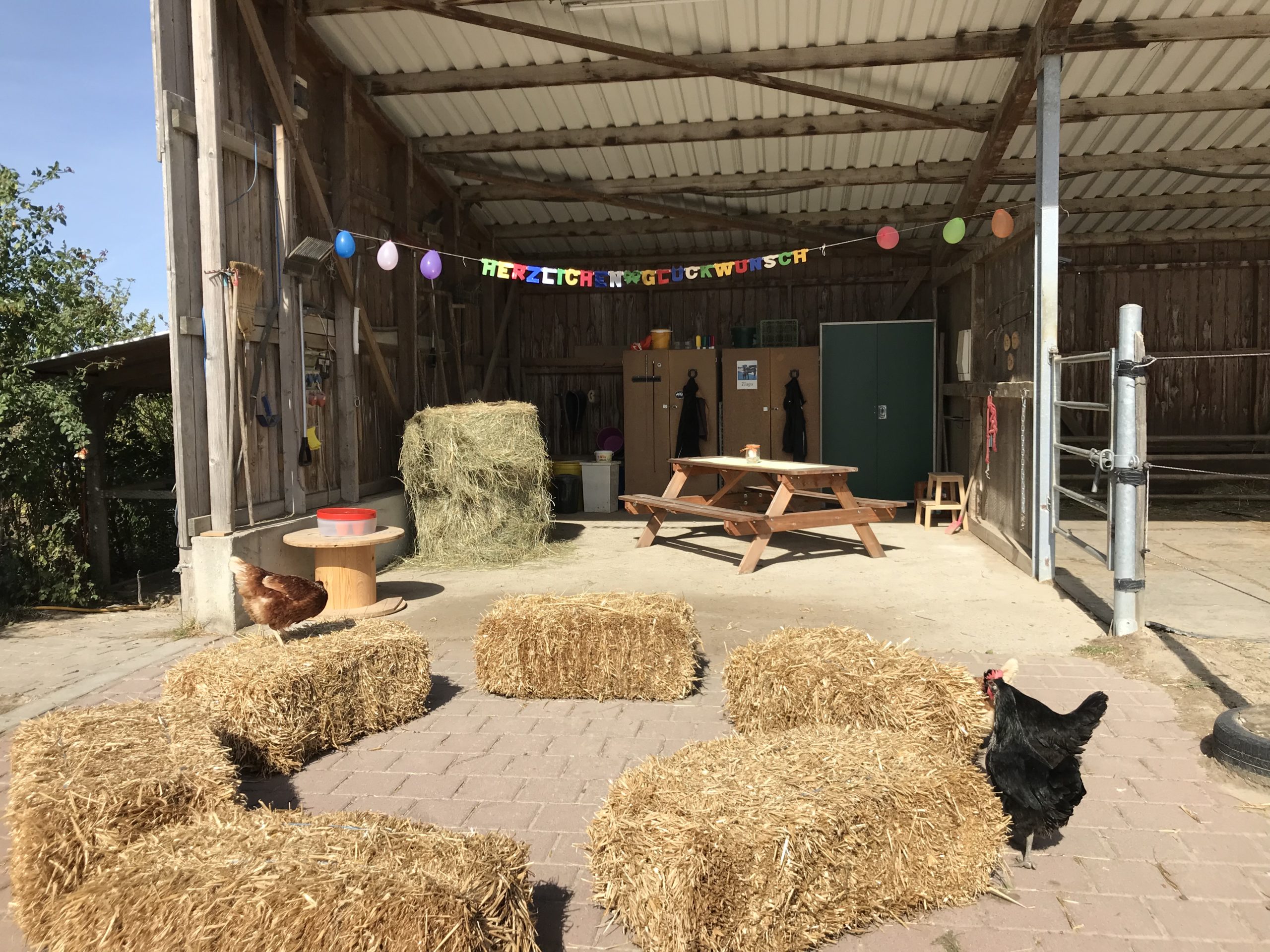 Niederfelder Bauernhofmomente – Bild 3