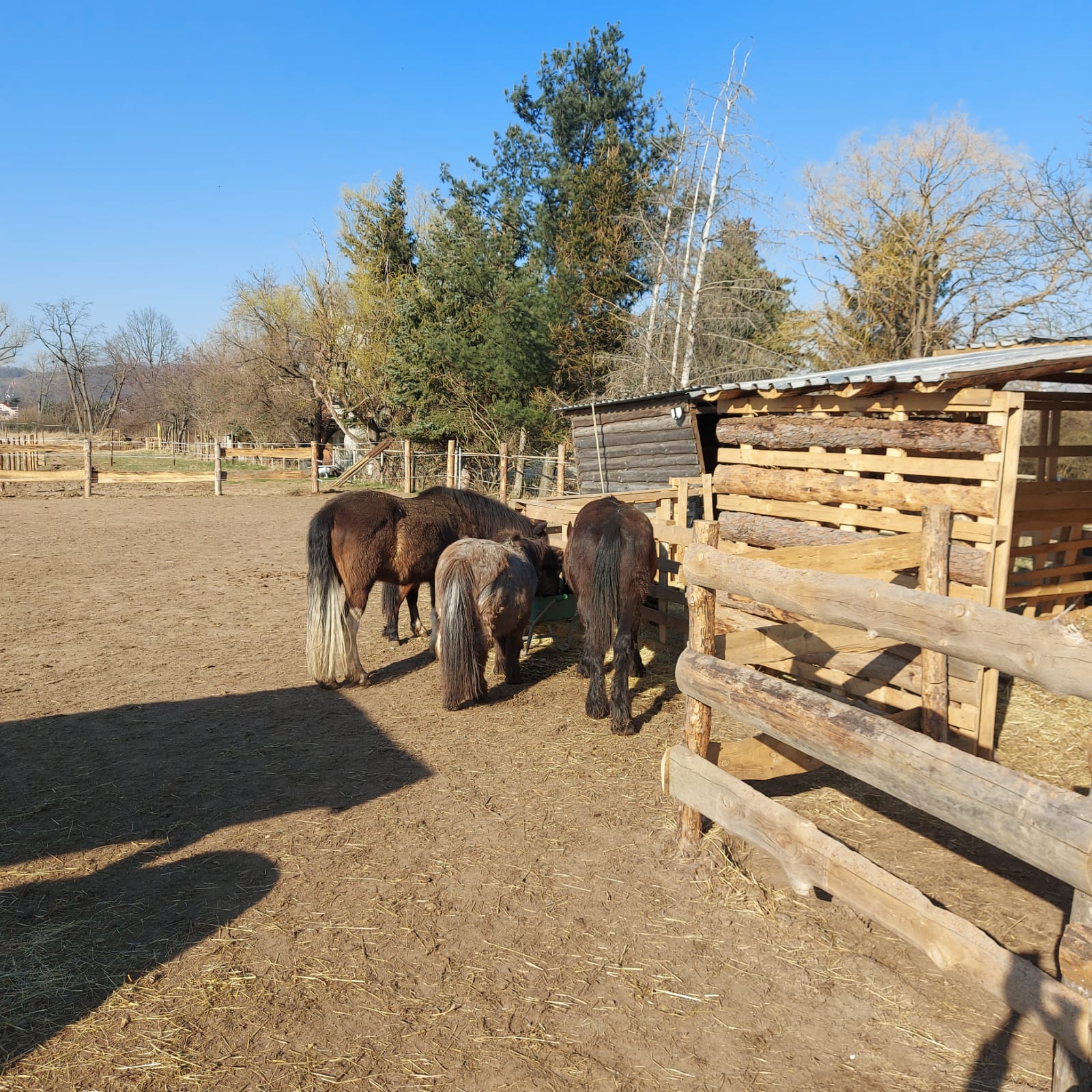 Minibauernhof Drachennest – Bild 2