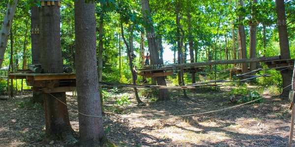 KLETTERWALD KOALA – Bild 2