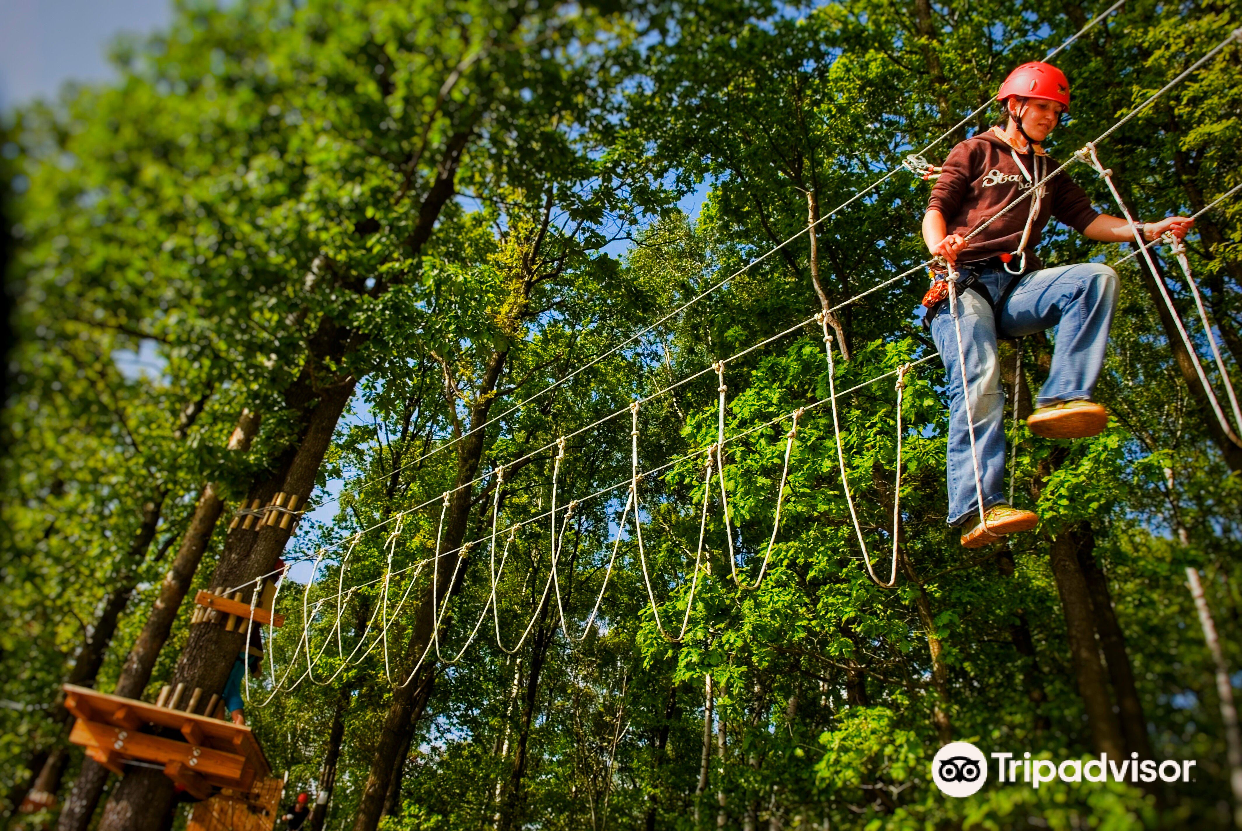 KLETTERWALD KOALA – Bild 3