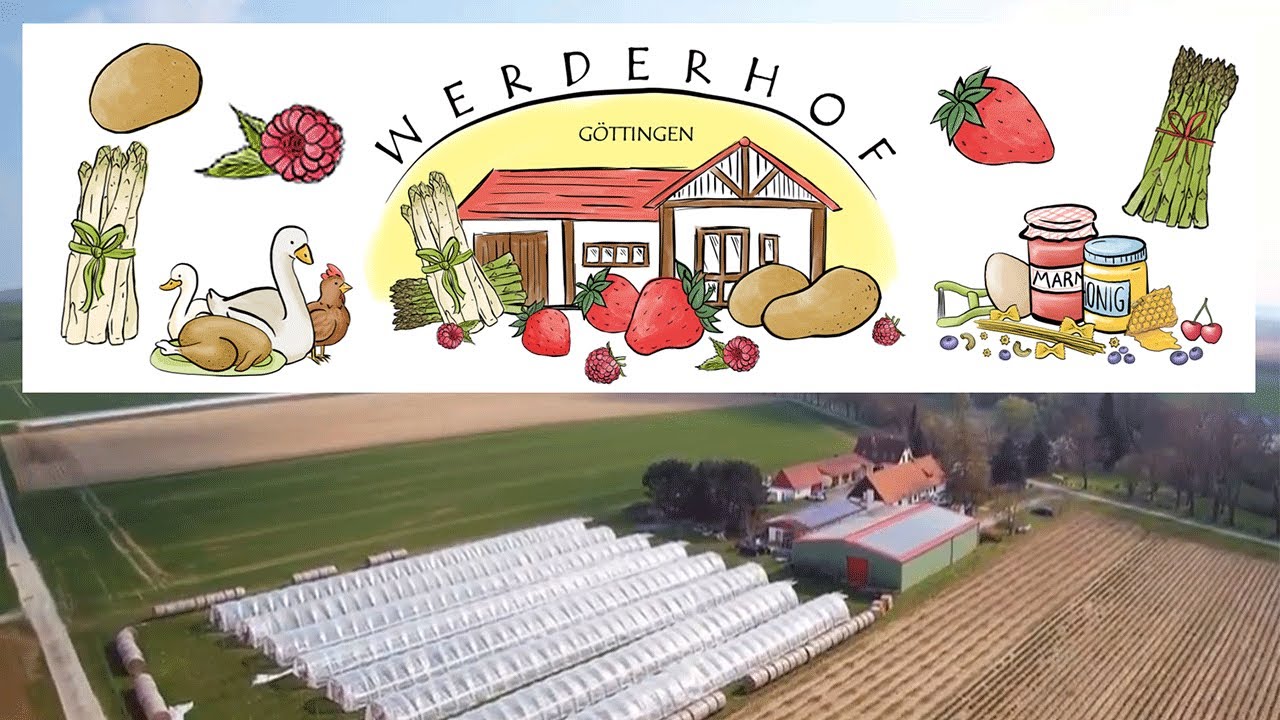 Werderhof Göttingen - Erdbeerfeld - Selbstpflücken – Bild 1