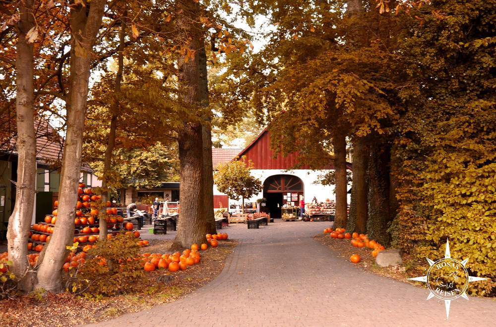 Hof Krüger – Bild 3