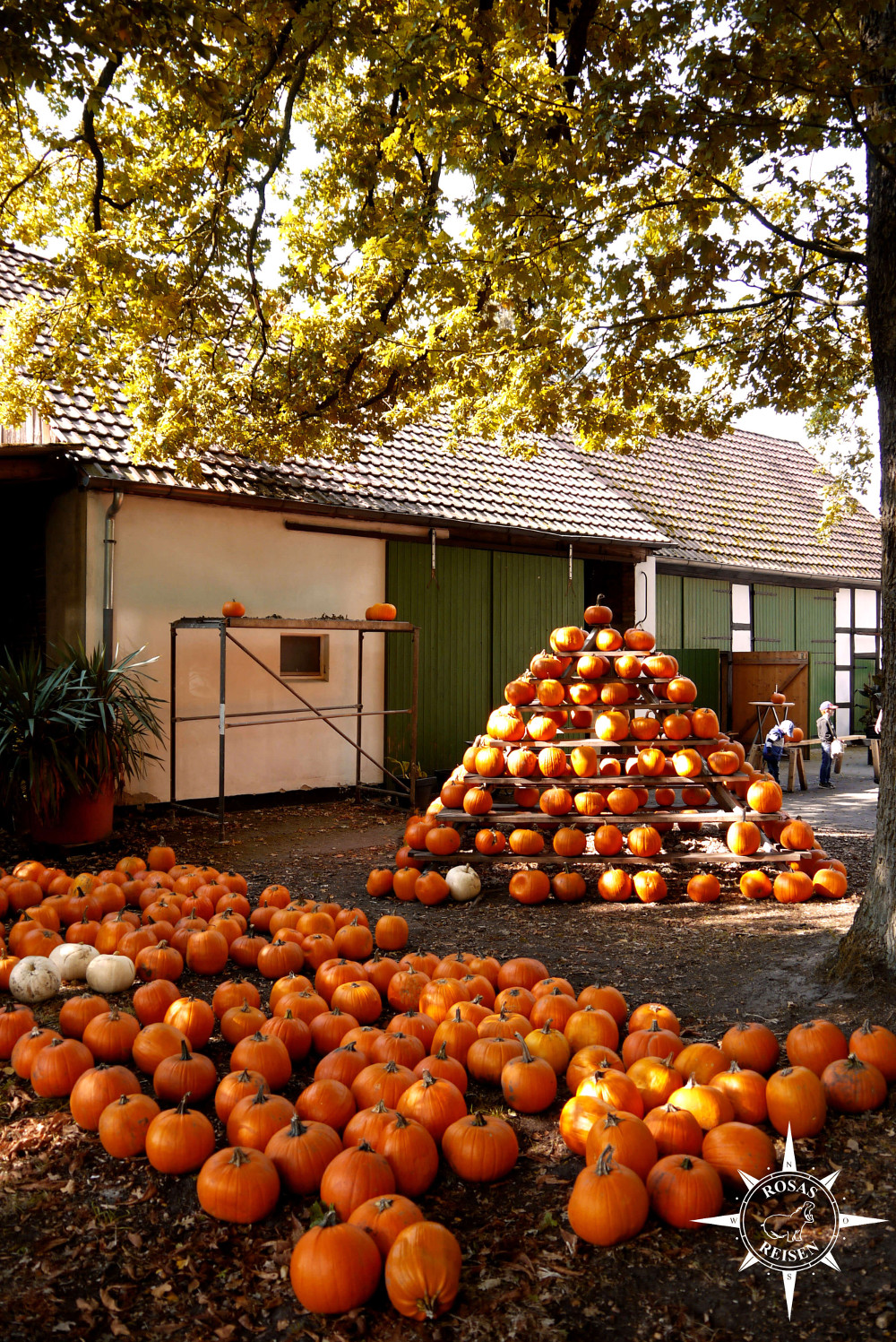 Hof Krüger – Bild 4