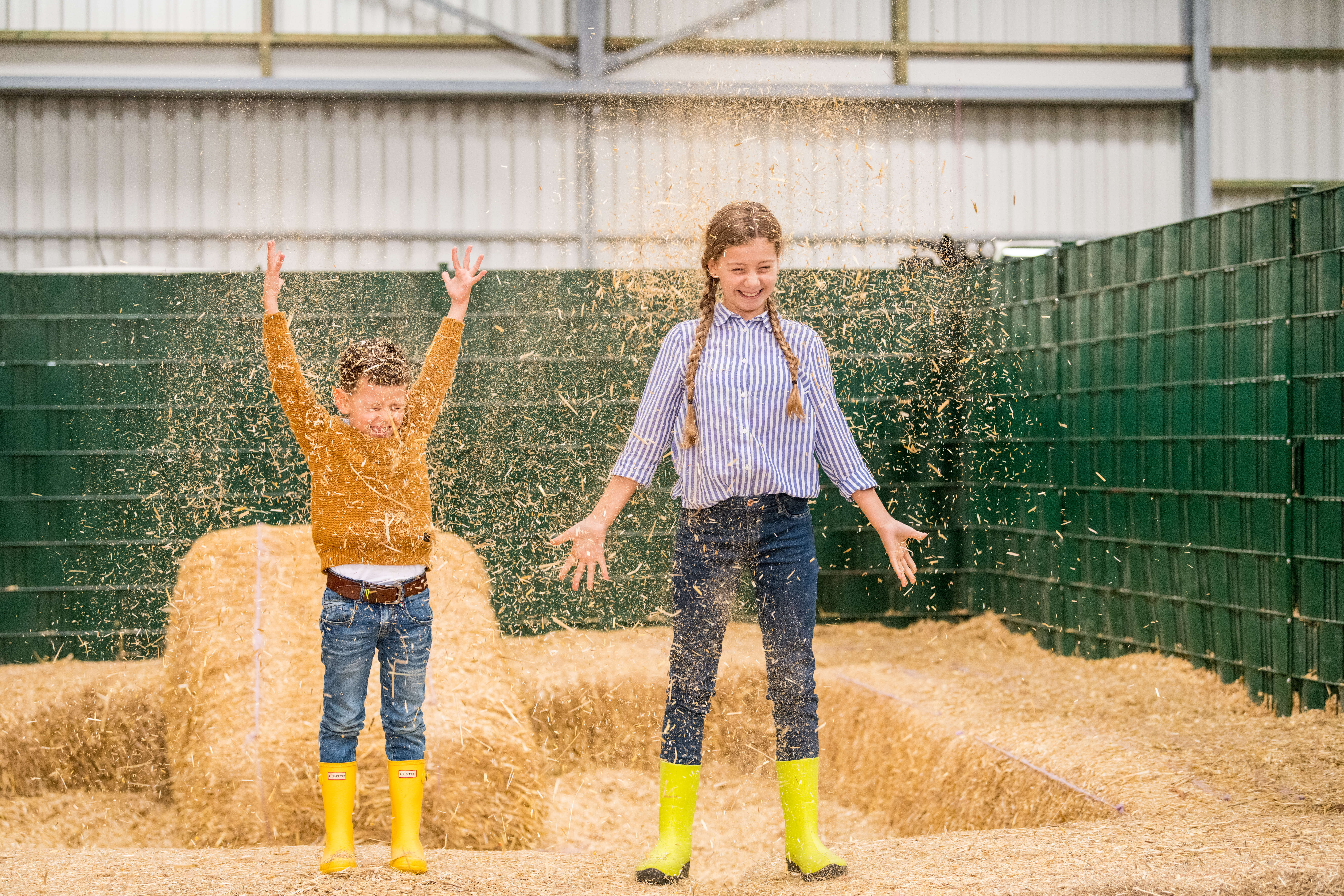 Bauernhof Gut Hixholz – Bild 4