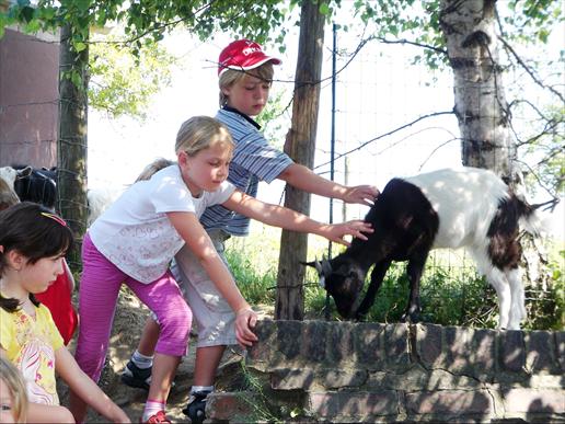 Bauernhof Gut Hixholz – Bild 6