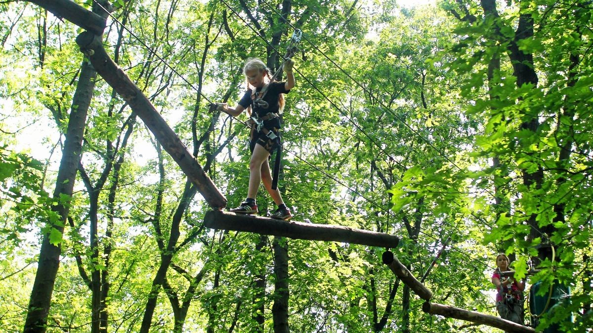 Monkeyman Hochseilgarten Westpark – Bild 2