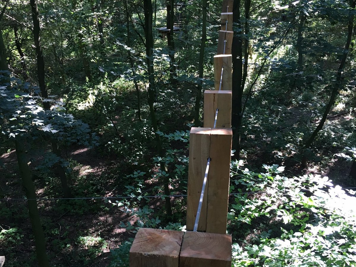 Monkeyman Hochseilgarten Westpark – Bild 4