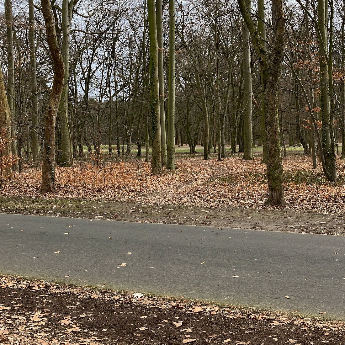 Prinz-Albrecht-Park – Bild 5