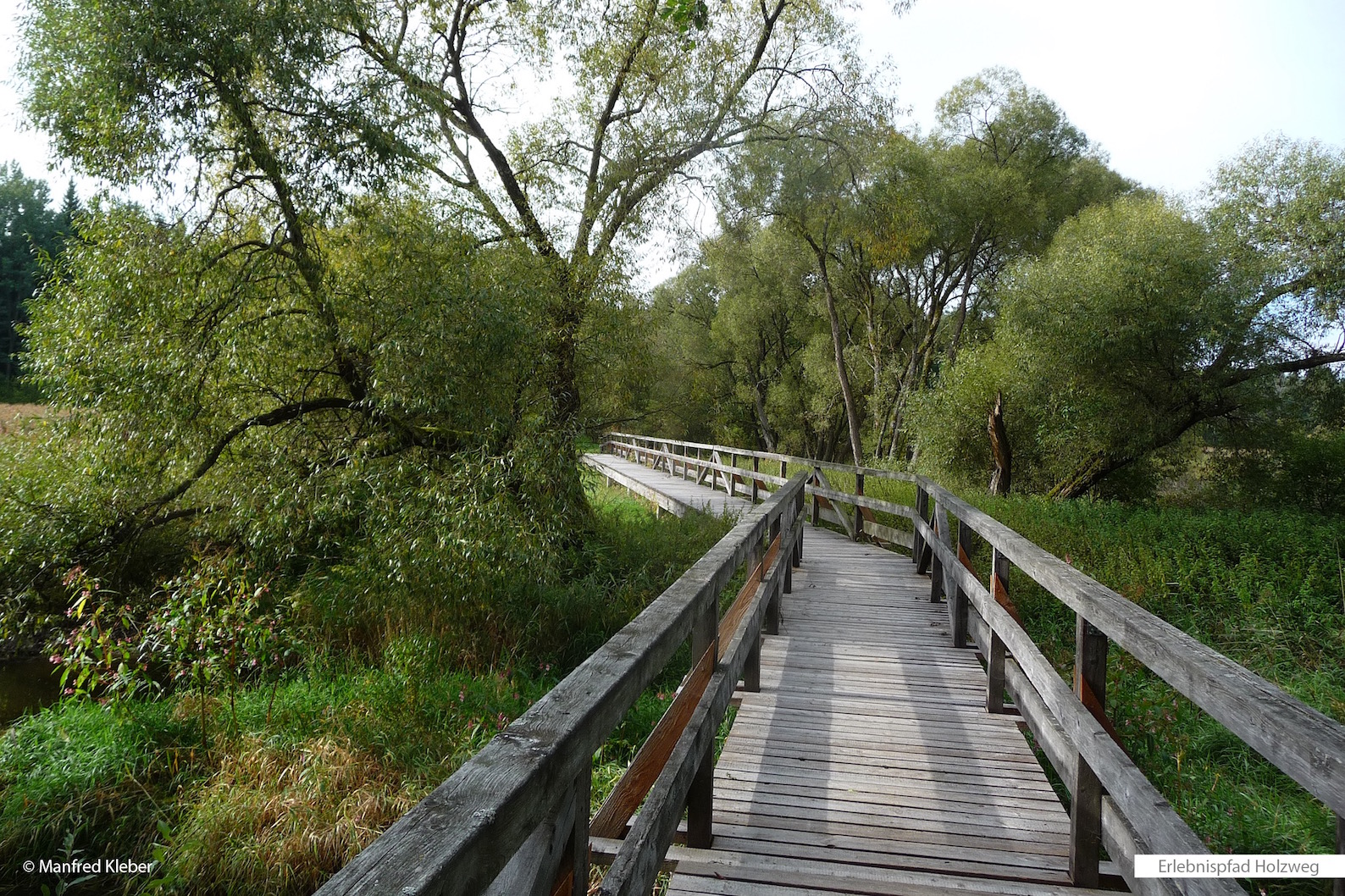 Floßweiher Holzweg – Bild 1