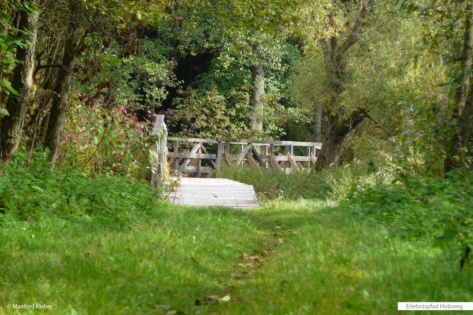 Floßweiher Holzweg – Bild 5