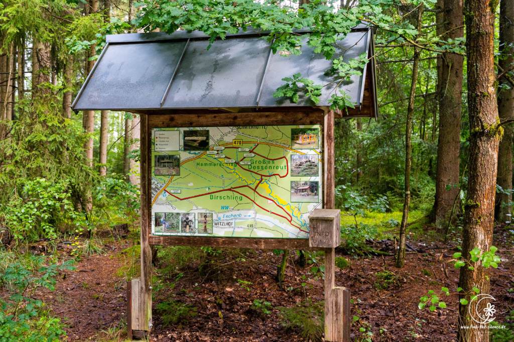 Floßweiher Holzweg – Bild 6