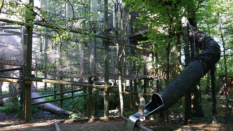 Kletterurwald – Bild 1