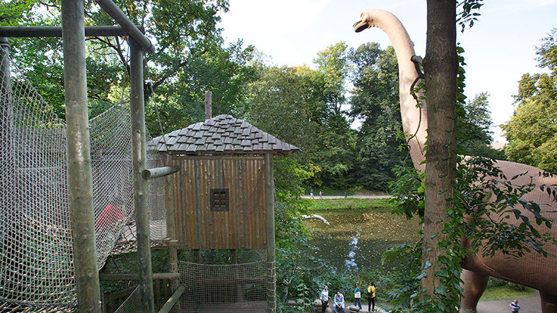 Kletterurwald – Bild 3