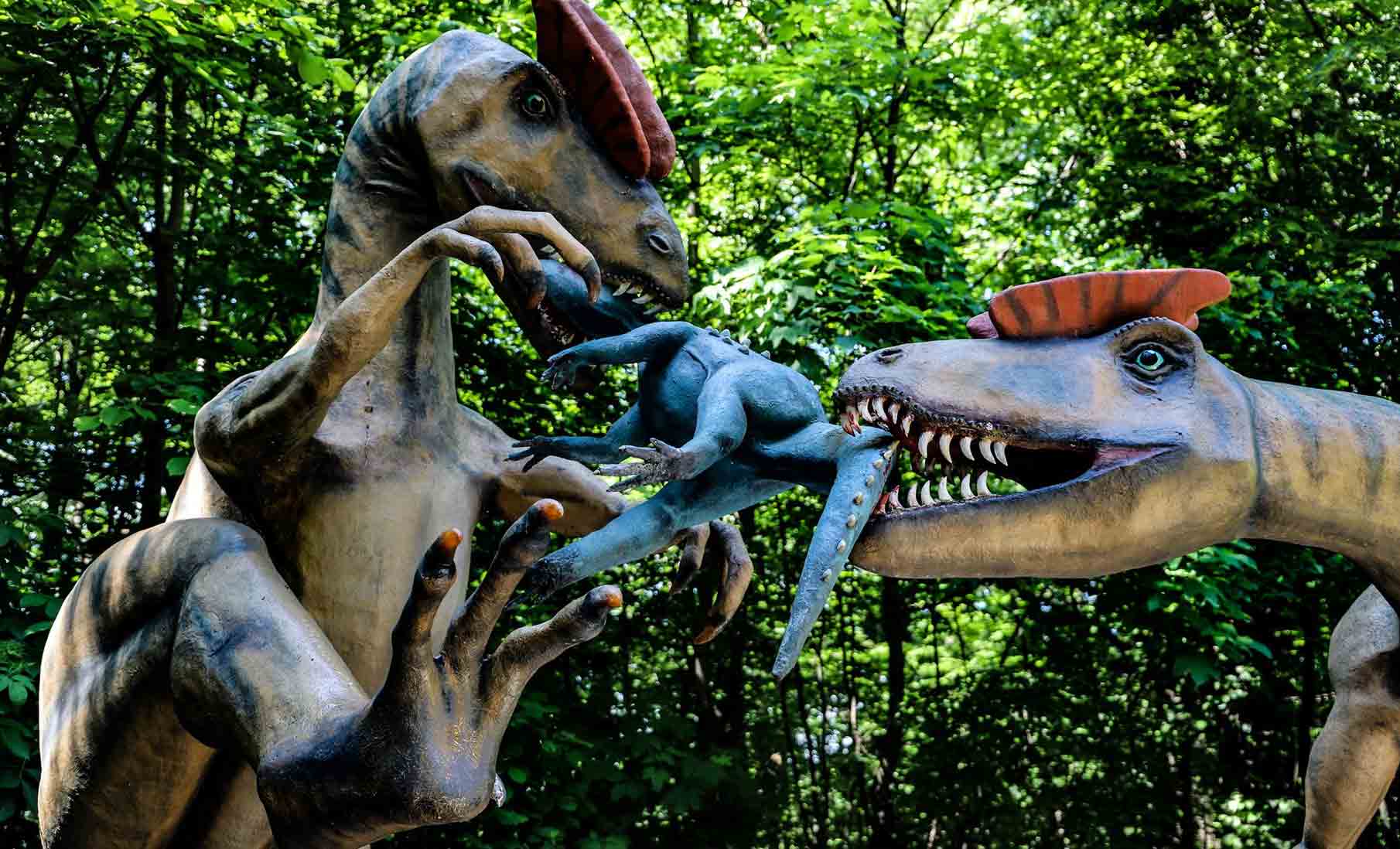 Kletterurwald – Bild 4