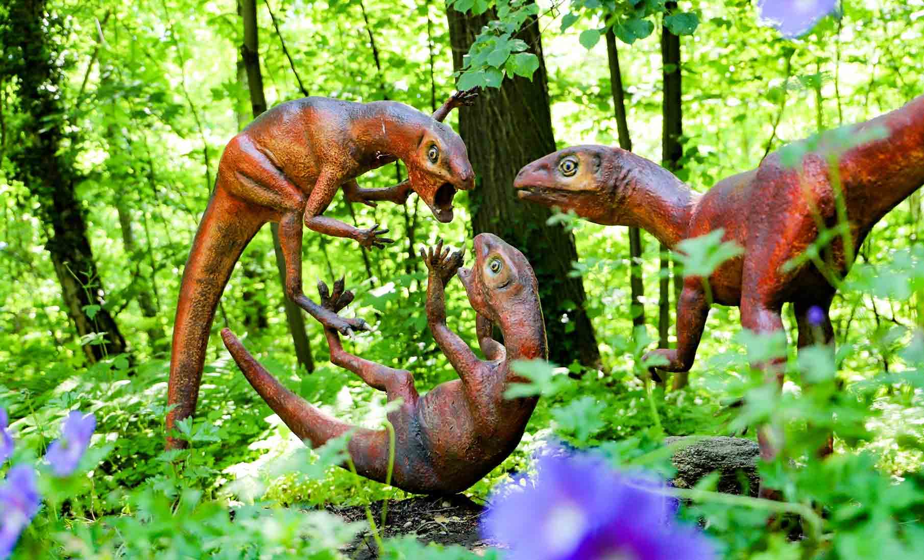 Kletterurwald – Bild 6