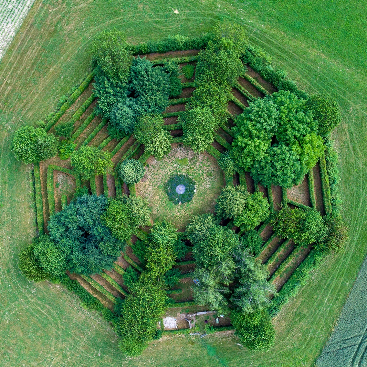 Heckenlabyrinth – Bild 3