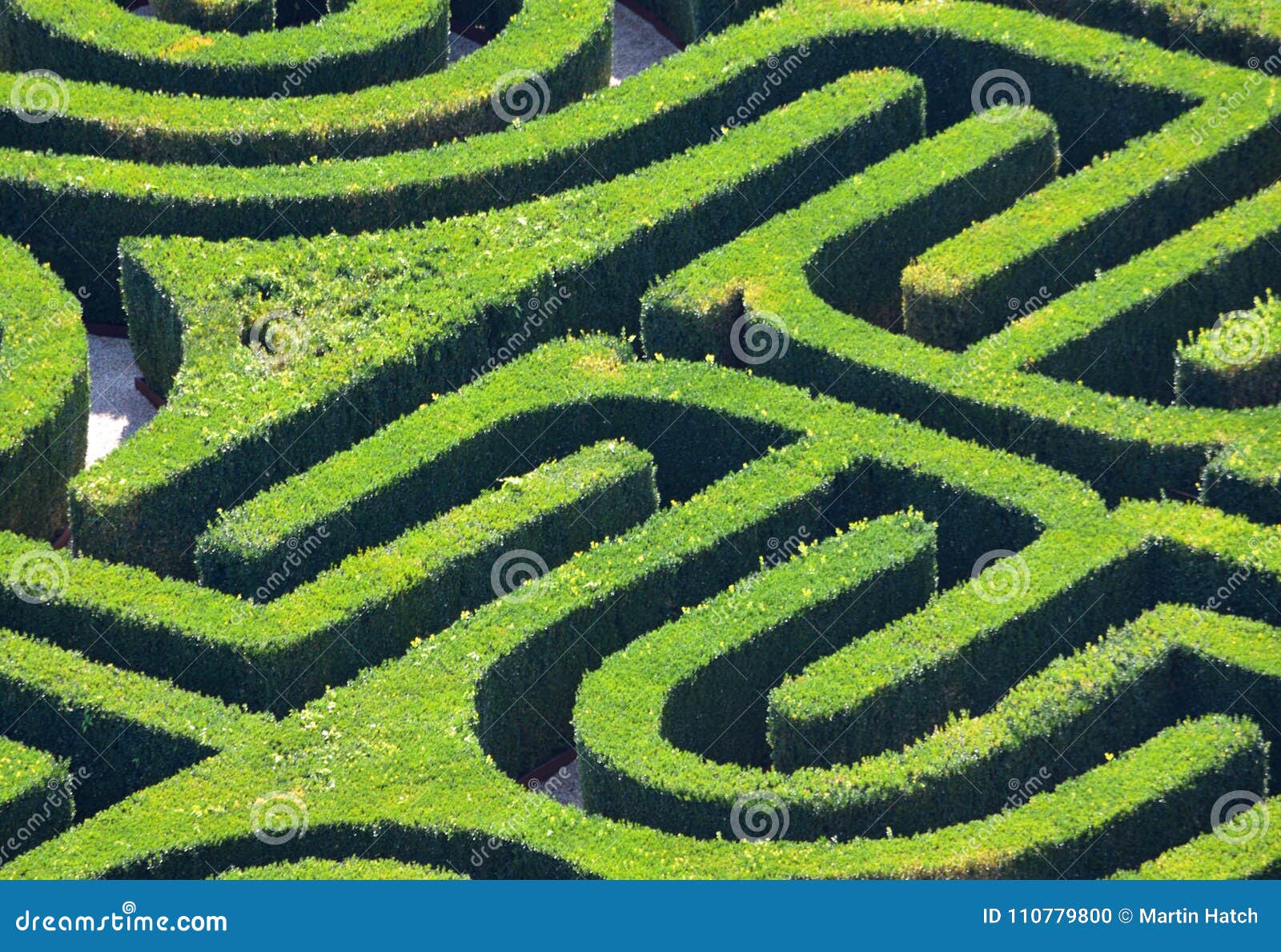 Heckenlabyrinth – Bild 5