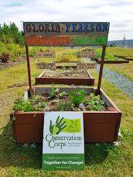 Gloria Pearson Community Centre – Bild 5