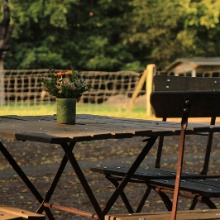 Waldcafé & Biergarten Meyers Hausstelle – Bild 5