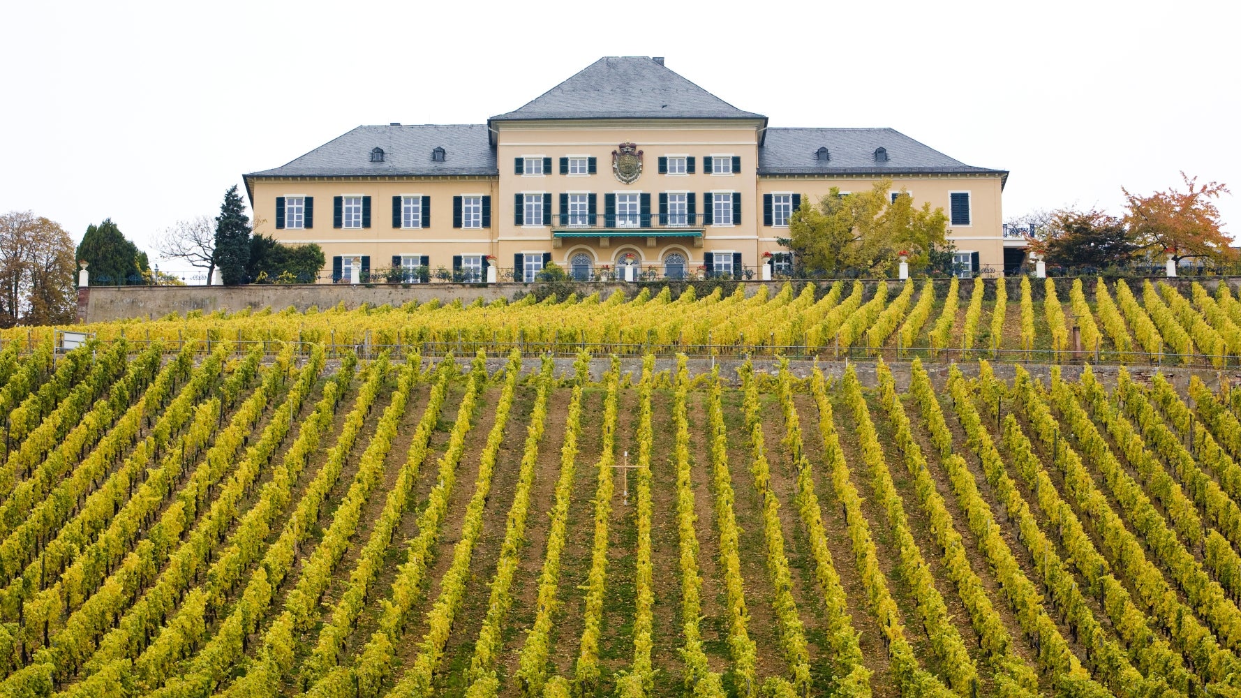 Siegelhof – Bild 2