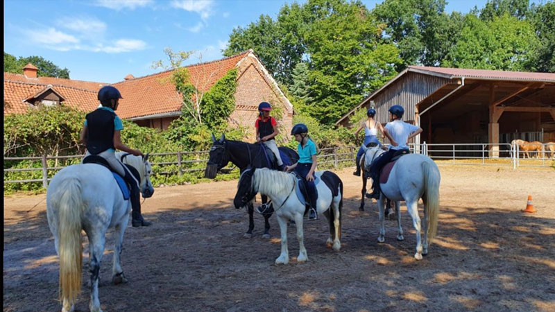 Unser Mitmachhof GmbH& CoKG – Bild 5