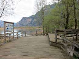 Bewegungsraum Reussdelta – Bild 2