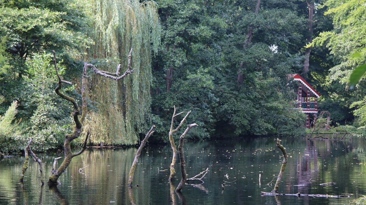 Schloßgarten – Bild 3