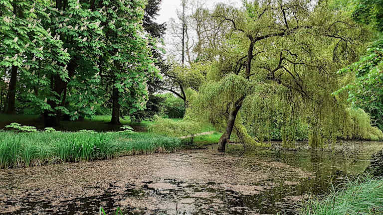 Schloßgarten – Bild 4