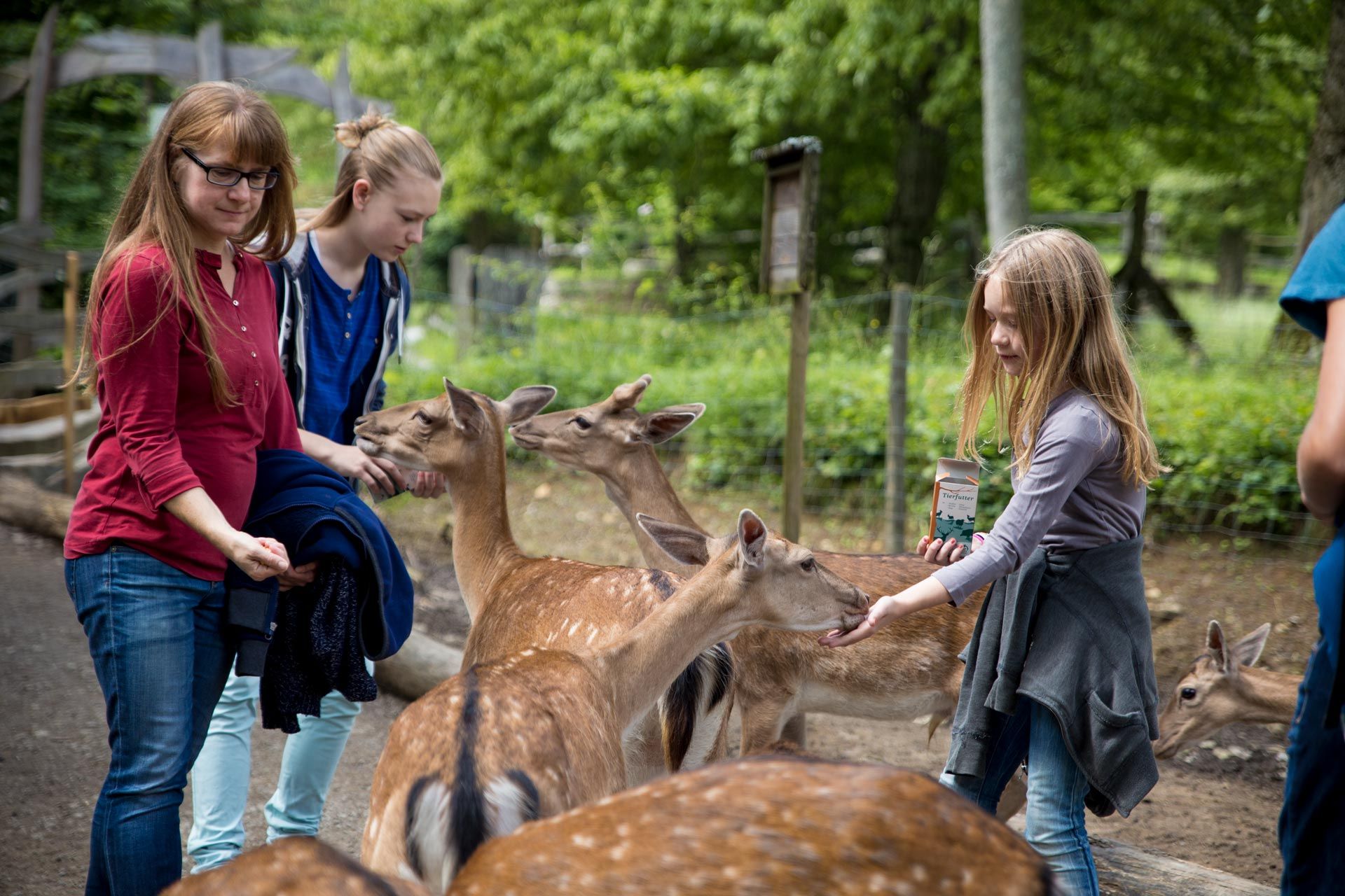 Wildpark Bad Mergentheim – Bild 3