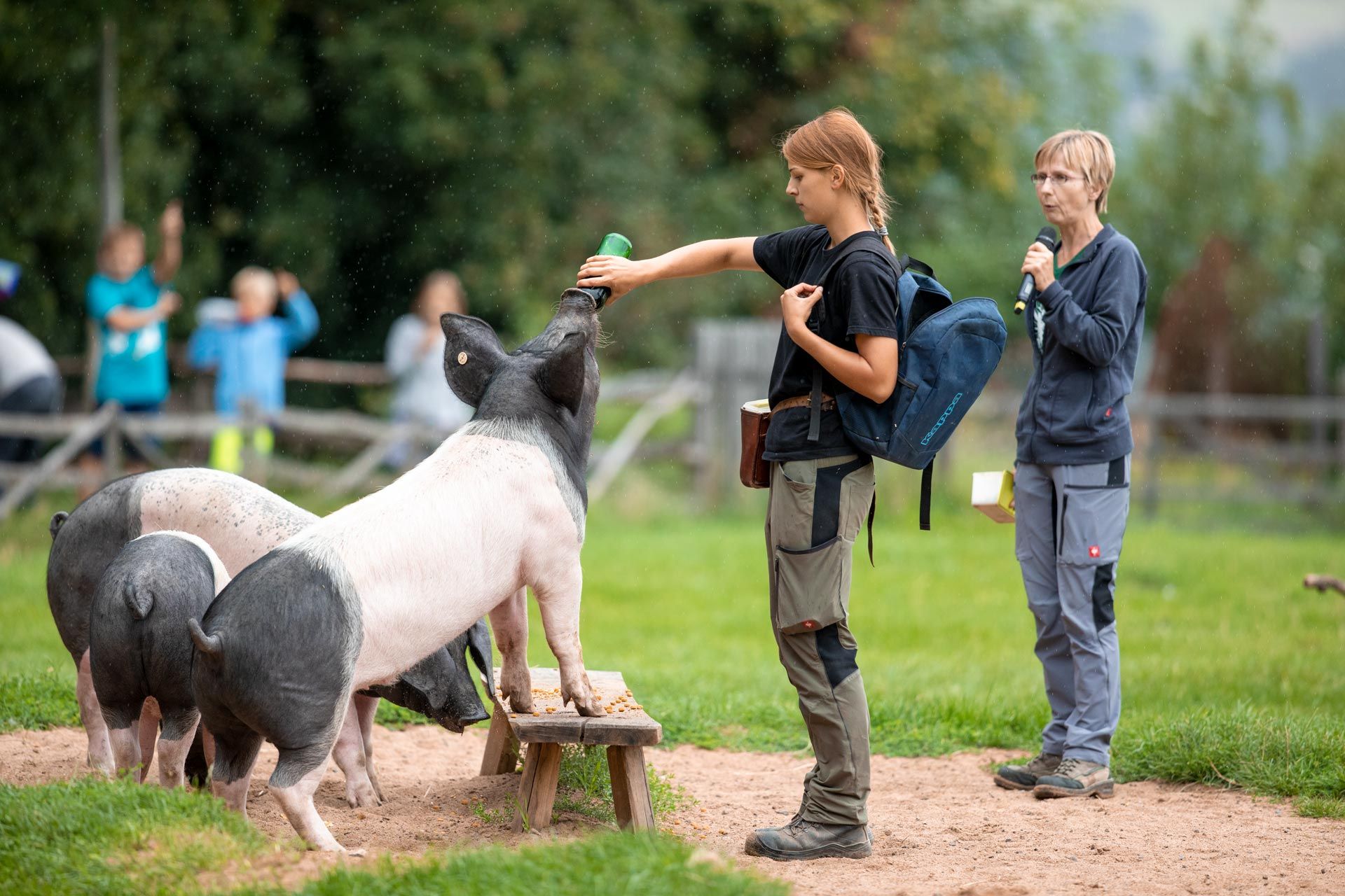 Wildpark Bad Mergentheim – Bild 4