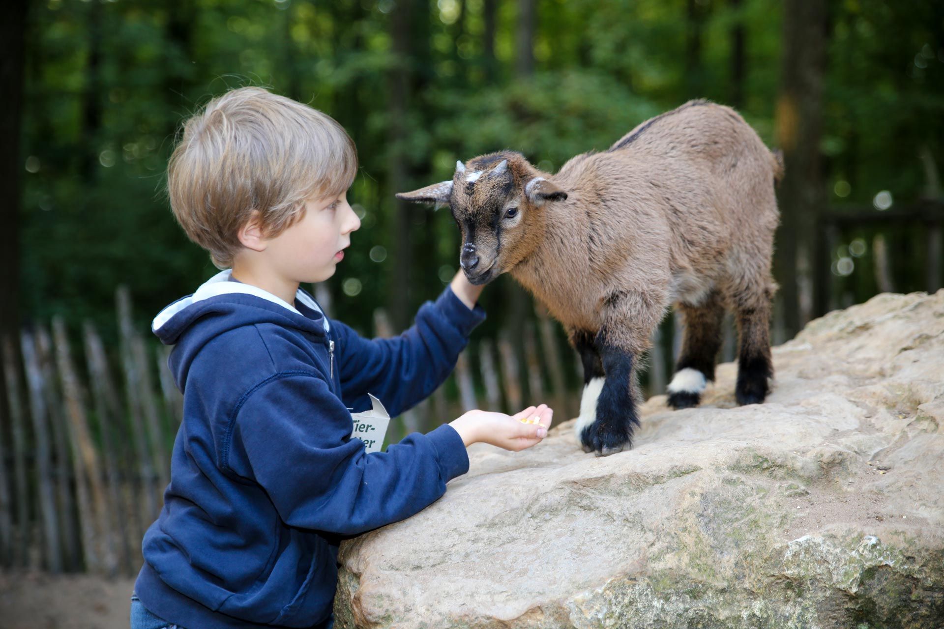 Wildpark Bad Mergentheim – Bild 6