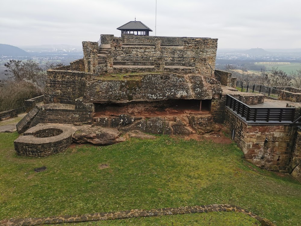 Wildfreigehege Wolfsrath – Bild 6