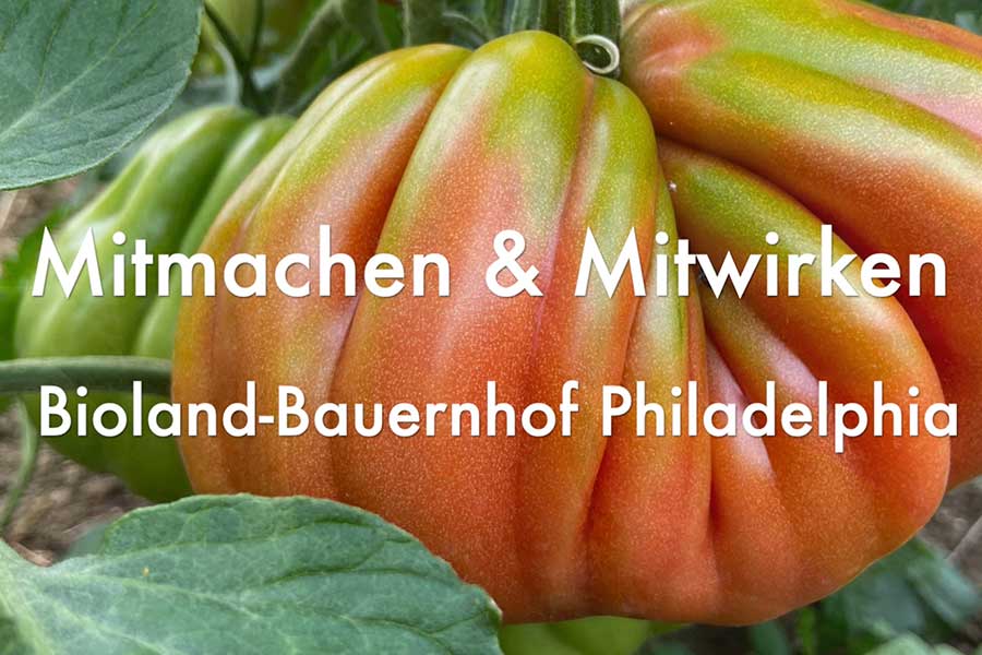 Philadelphia Bioland Bauernhof – Bild 5