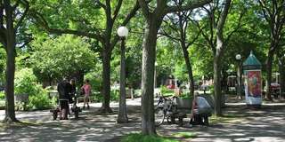 Dundonald Park – Bild 2