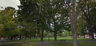 Dundonald Park – Bild 3