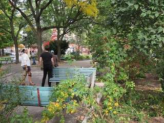 Dundonald Park – Bild 6