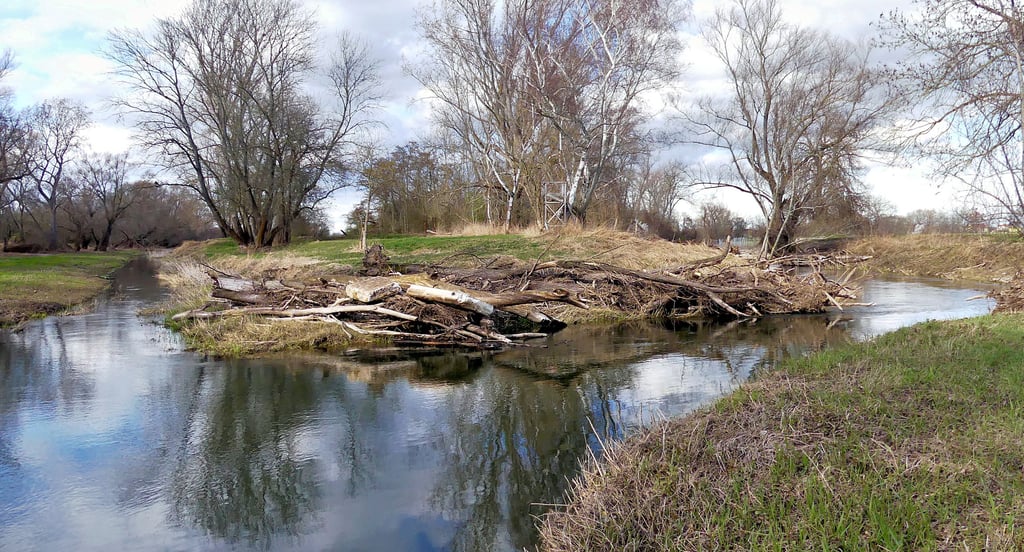Fischtreppe Alte Saale – Bild 2