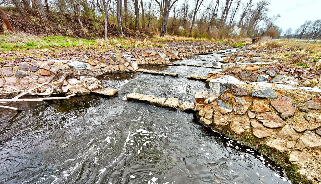 Fischtreppe Alte Saale – Bild 3