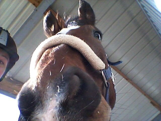 Erlebnishof Werl – Bild 3