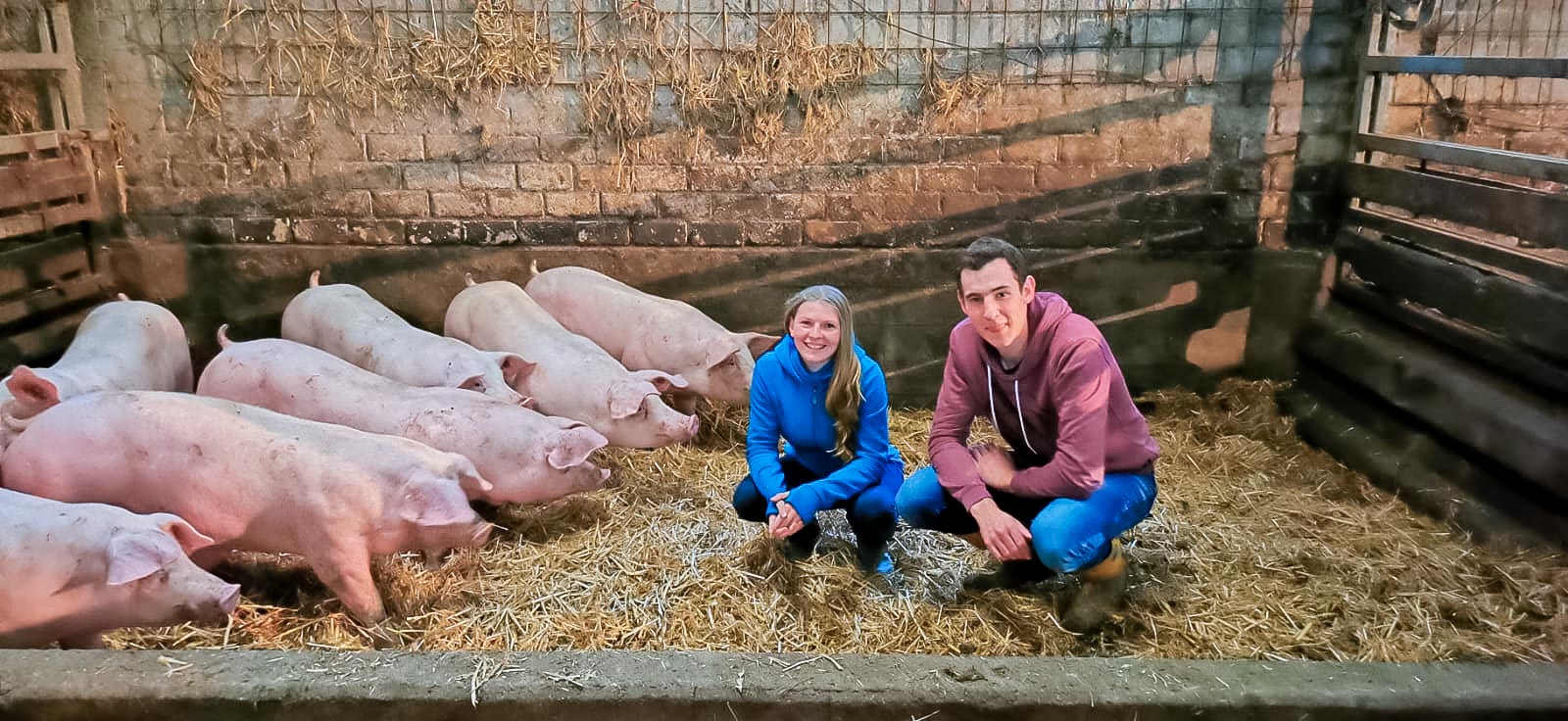 Hof Konermann – Bild 1