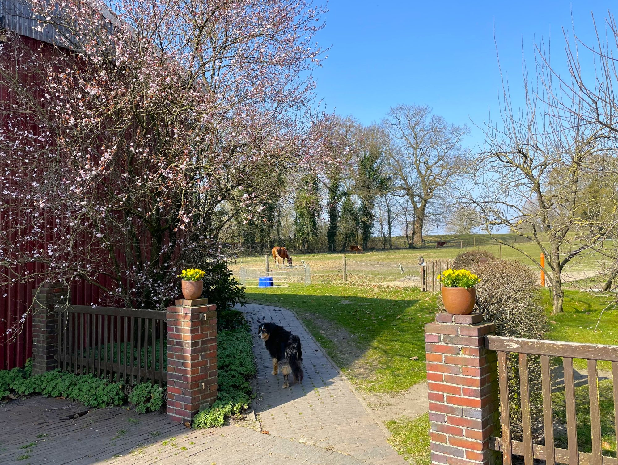 Ferienhof Hayenort – Bild 6