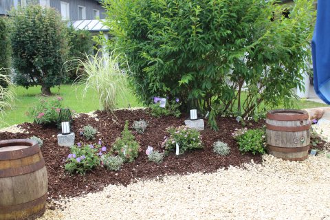 Arkadencafé & Familienzentrum – Bild 3