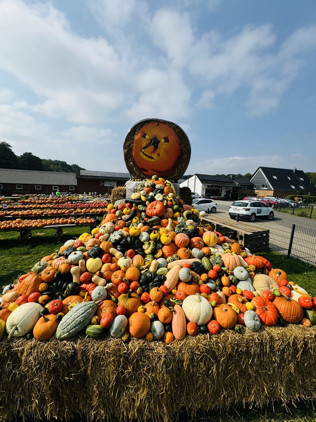 Klöcker's Hofladen – Bild 4