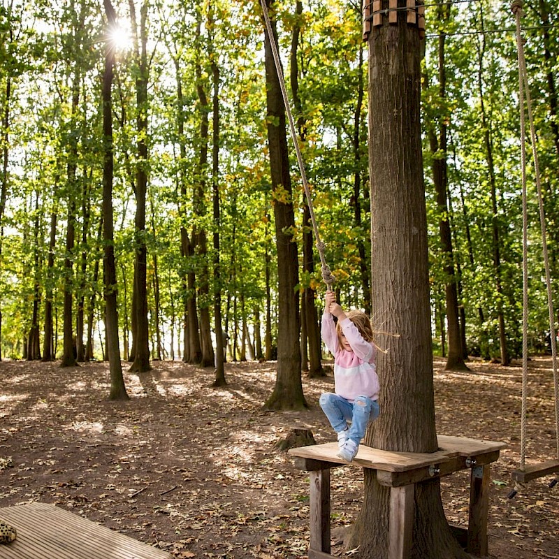 Niedrigseilgarten Reken – Bild 3